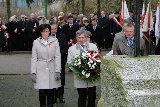 Zdjęcie:  style=